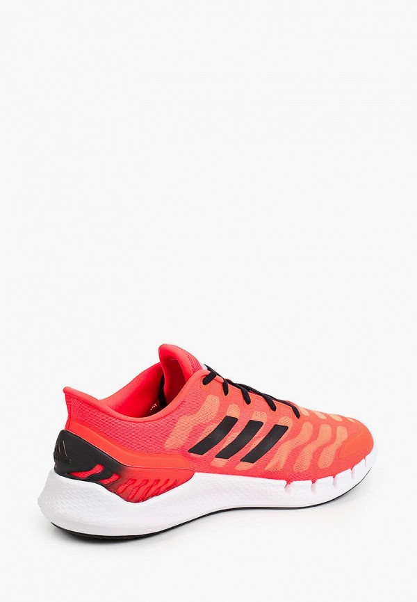 фото Кроссовки adidas