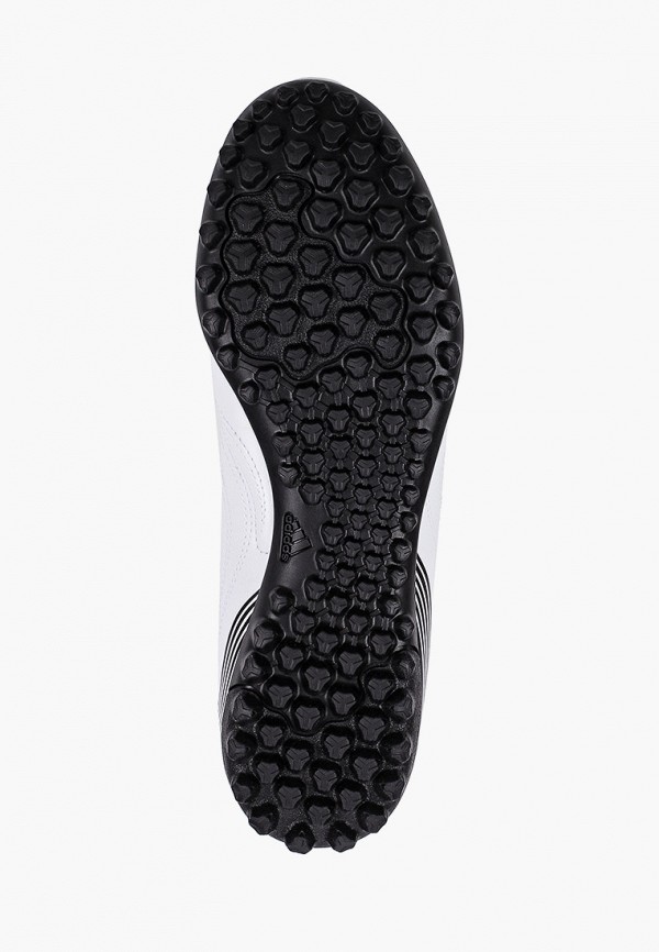 фото Шиповки adidas