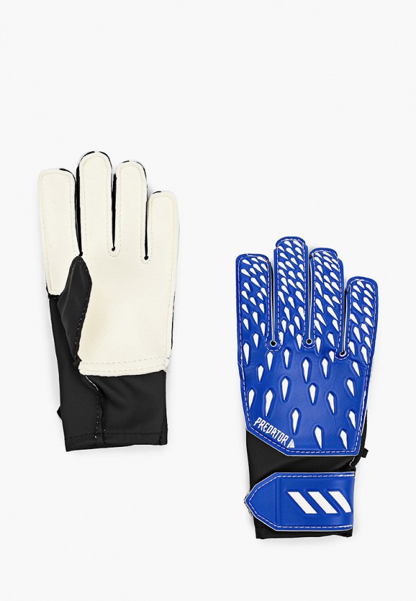 

Перчатки вратарские adidas, Синий
