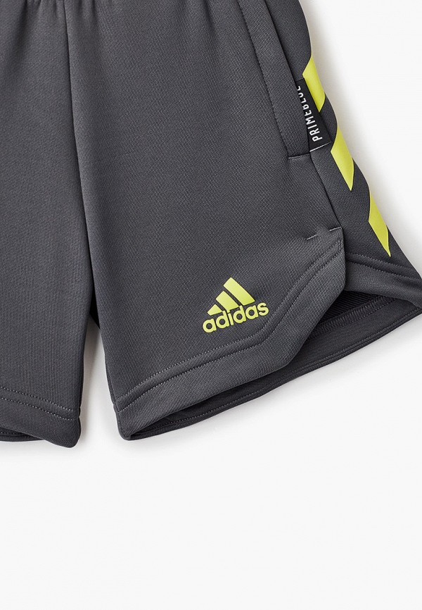 фото Шорты спортивные adidas