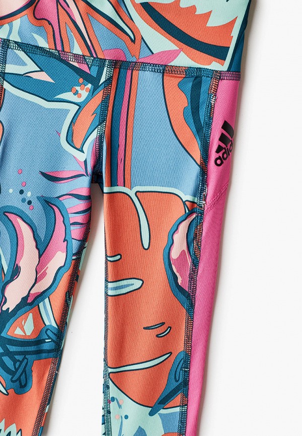 фото Тайтсы adidas