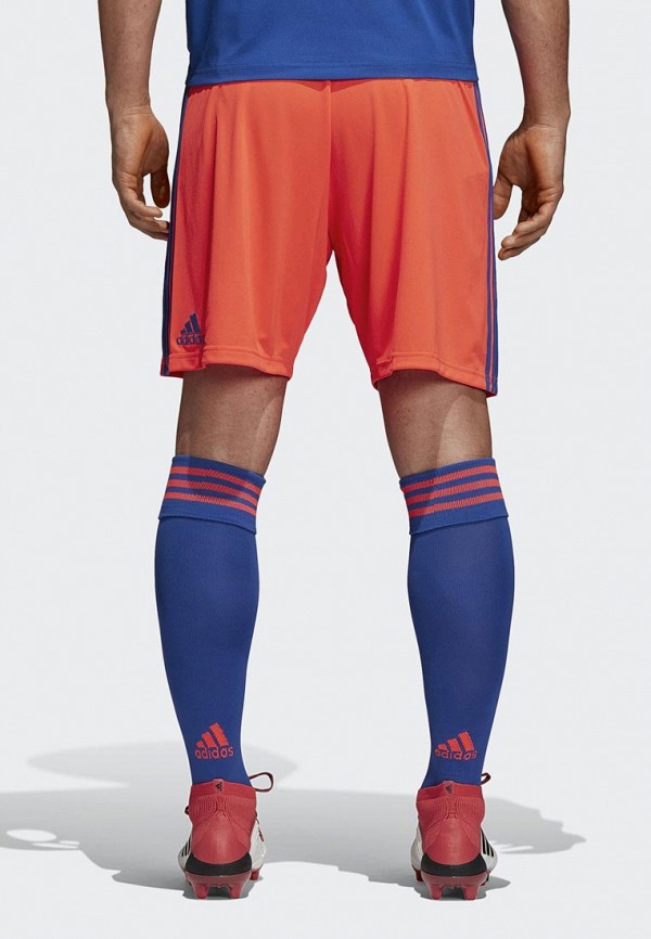 

Шорты спортивные adidas, adidas AD002EMALUT1, Оранжевый