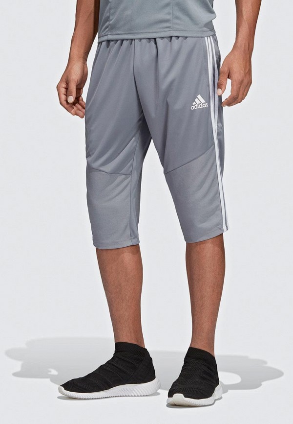 

Бриджи adidas, Серый, TIRO19 3/4 PNT