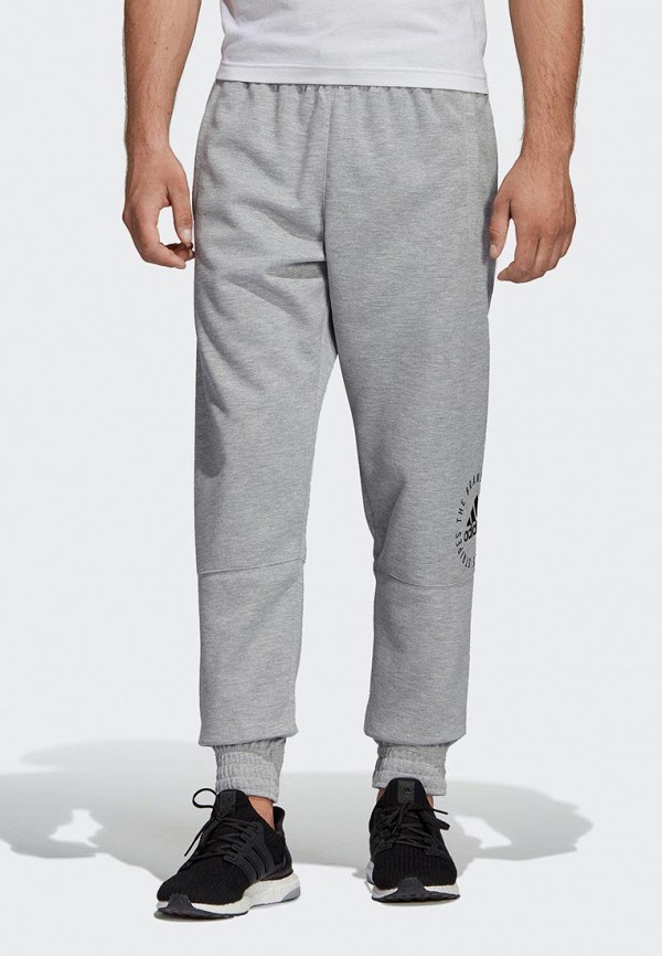 

Брюки спортивные adidas; adidas AD002EMEEHM2, Серый