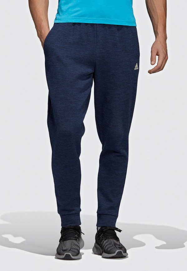 

Брюки спортивные adidas; adidas AD002EMEEHN6, Синий