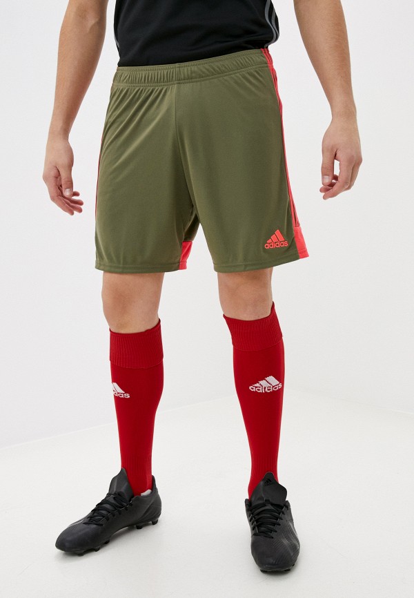 

Шорты спортивные adidas, Хаки, TASTIGO19 SHO