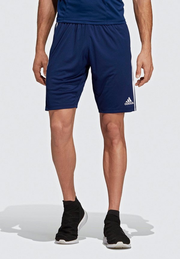 

Шорты спортивные adidas, adidas AD002EMEEIH2, Синий