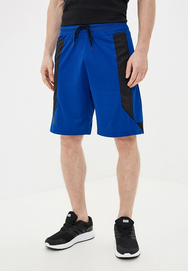 

Шорты спортивные adidas, Синий, adidas AD002EMFJZS8