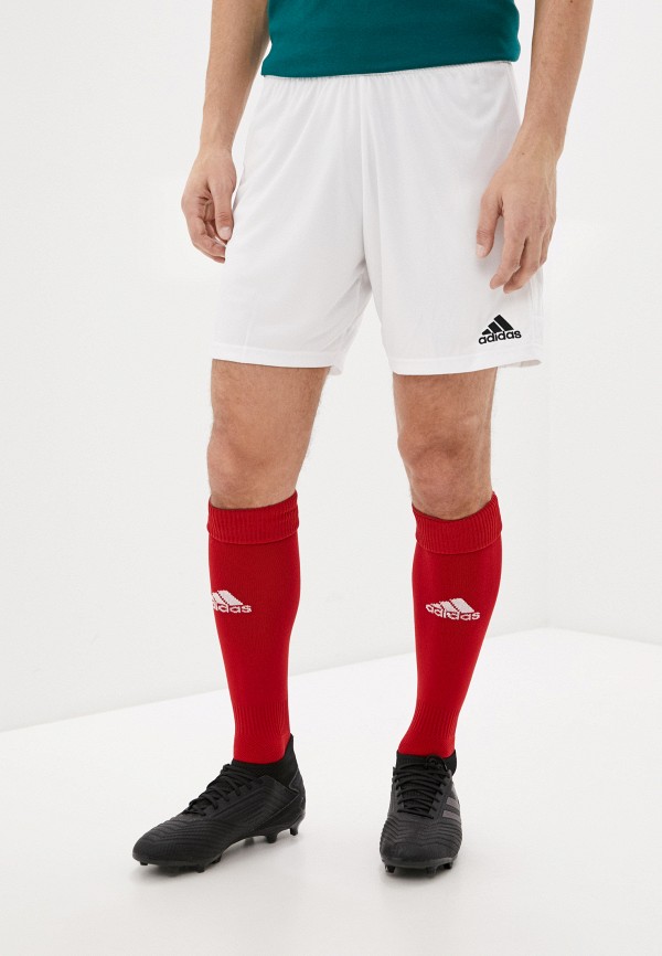 

Шорты спортивные adidas, Белый, adidas AD002EMHLMO2