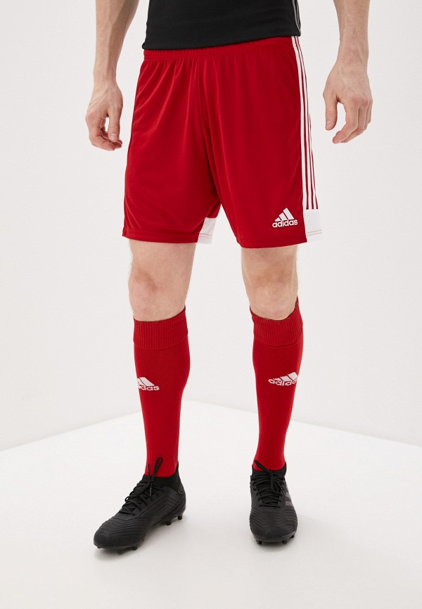 

Шорты спортивные adidas, Красный, TASTIGO19 SHO