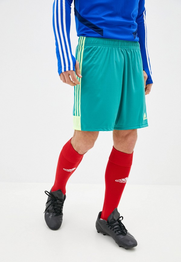 

Шорты спортивные adidas, Зеленый, adidas AD002EMLLBE2