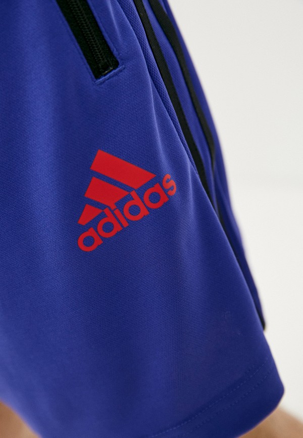 фото Шорты спортивные adidas