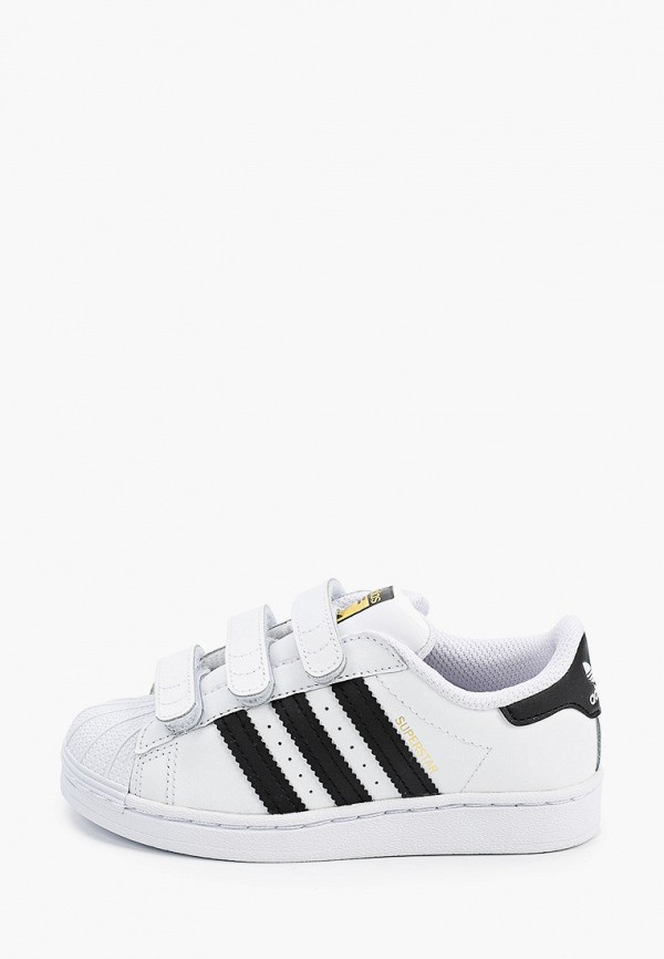 

Кеды adidas Originals, Белый, SUPERSTAR CF C