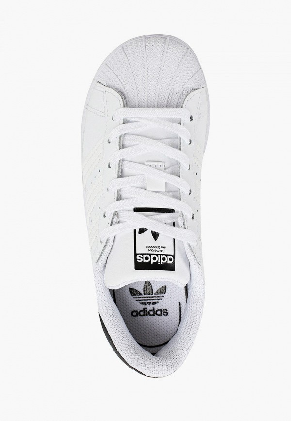 фото Кеды adidas originals