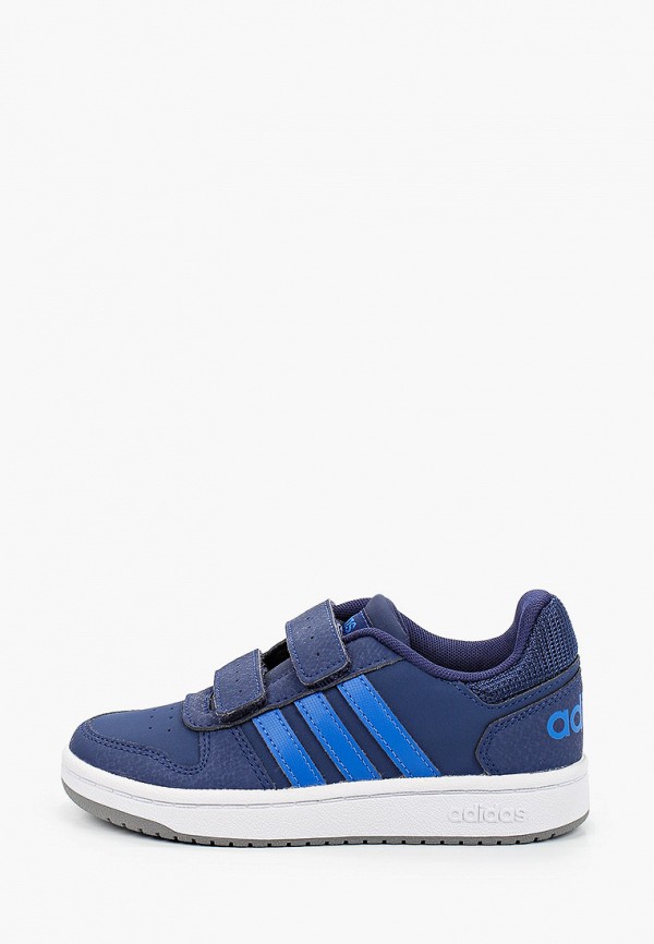 

Кроссовки adidas Originals, Синий, HOOPS 2.0 CMF C