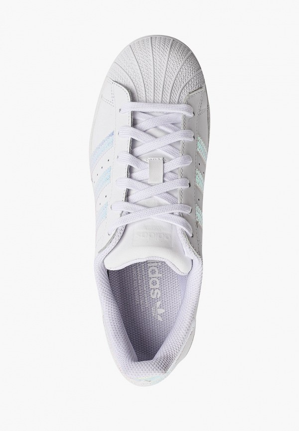 фото Кеды adidas originals