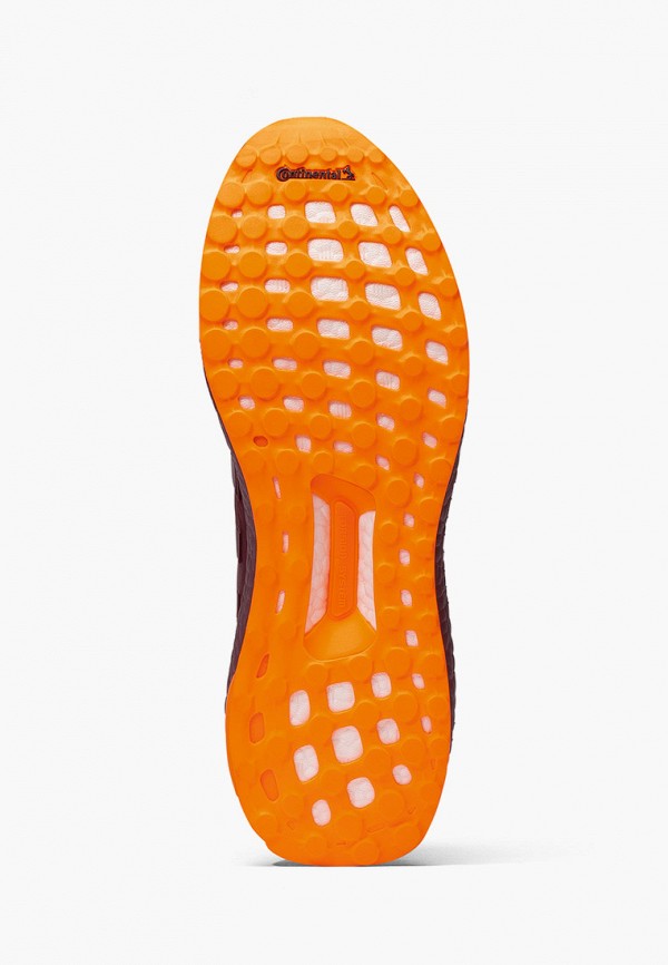 Кроссовки  adidas Originals фото