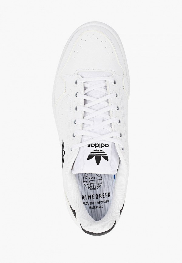 фото Кеды adidas originals