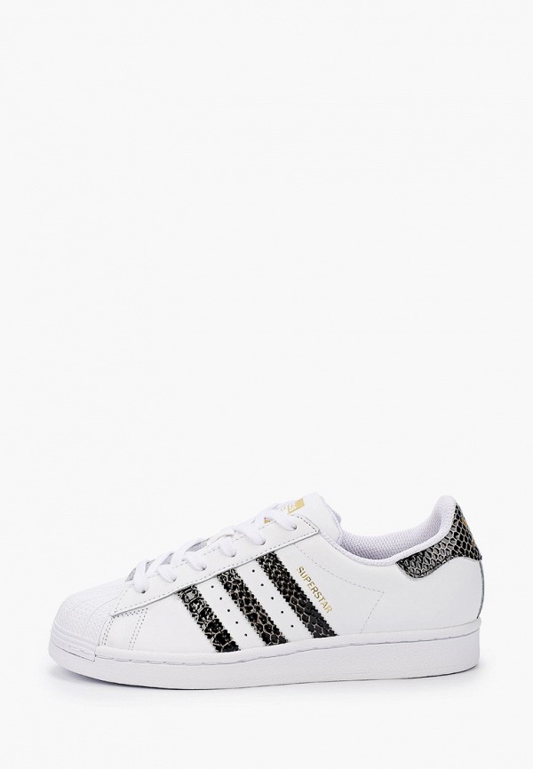 

Кеды adidas Originals, Белый, SUPERSTAR W