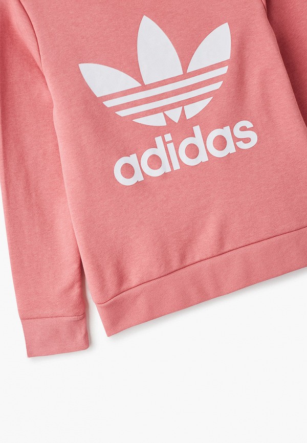 фото Свитшот adidas originals