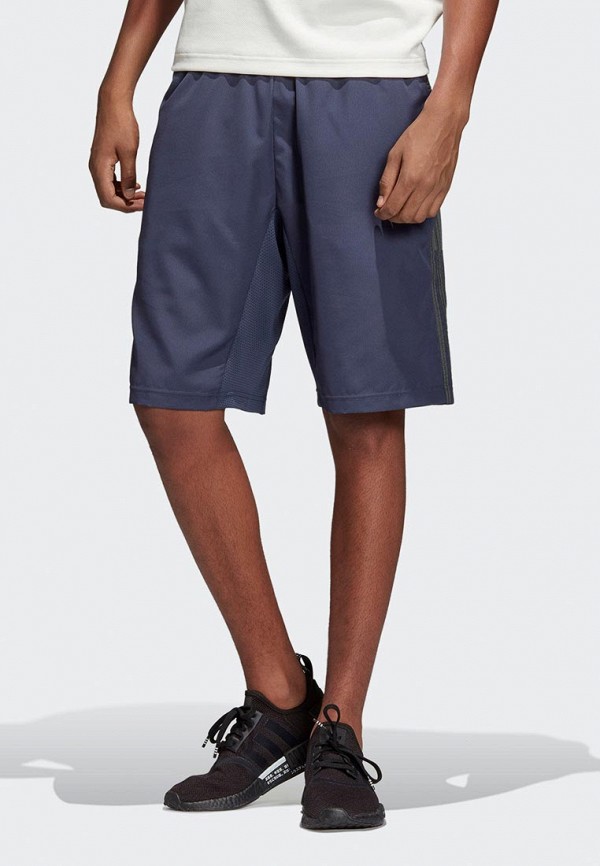 

Шорты спортивные adidas Originals; adidas Originals AD093EMEFDT7, Синий