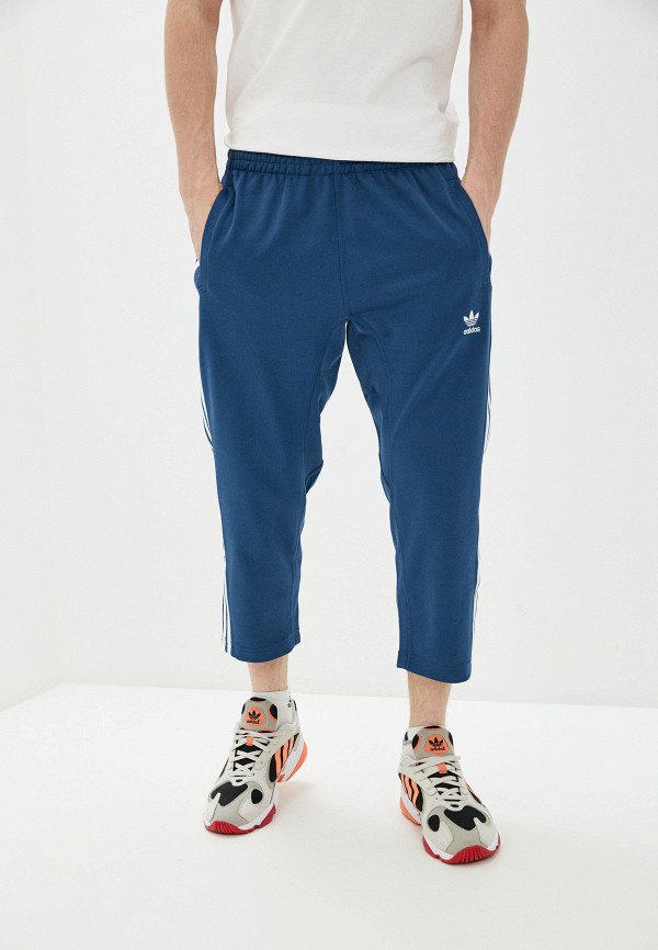 

Брюки спортивные adidas Originals, Синий, adidas Originals AD093EMHLEO6