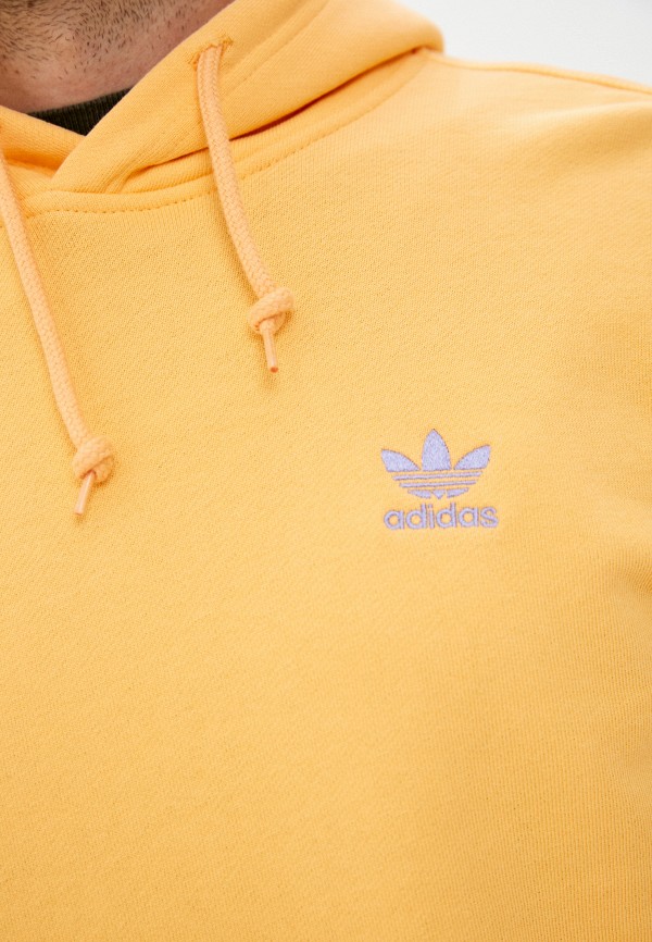 фото Худи adidas originals
