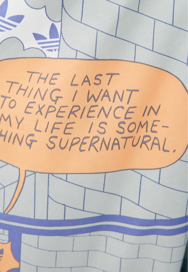 фото Брюки спортивные adidas originals