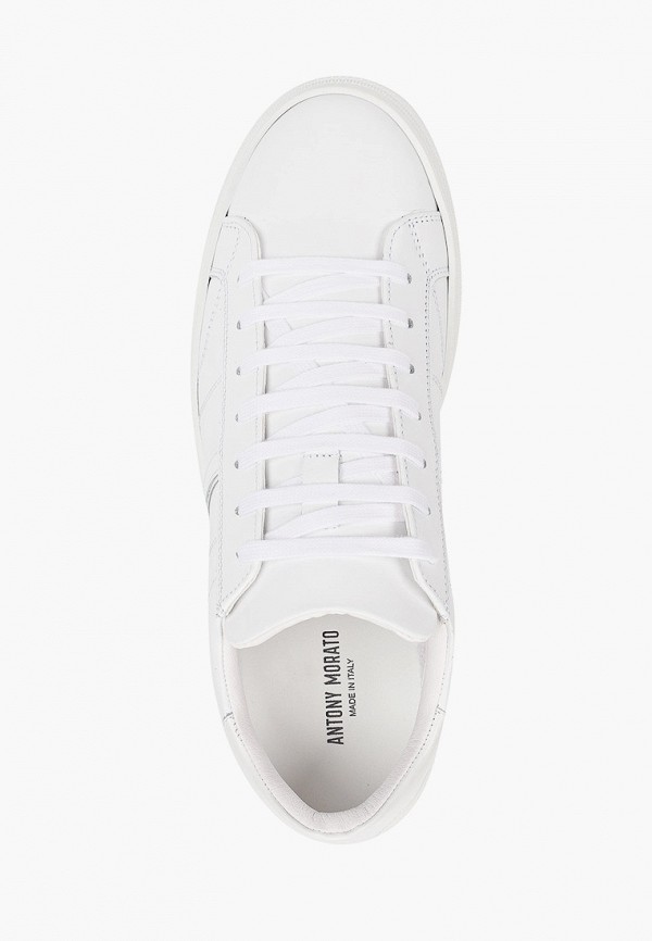 фото Кеды antony morato