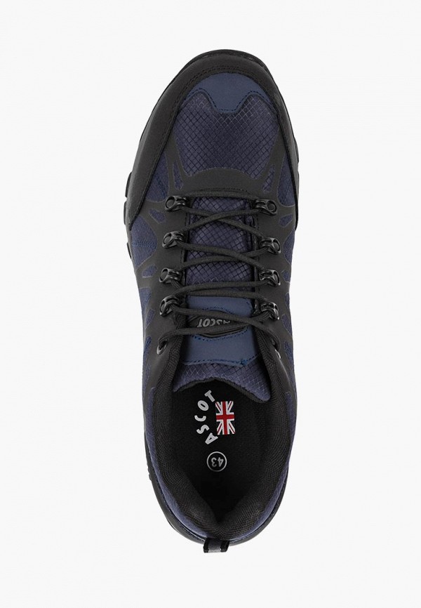 

Кроссовки Ascot, Ascot AS821AMELAV5, Синий