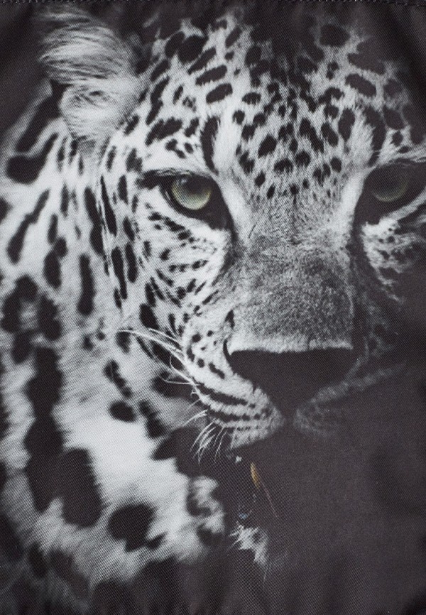 фото Ветровка boom