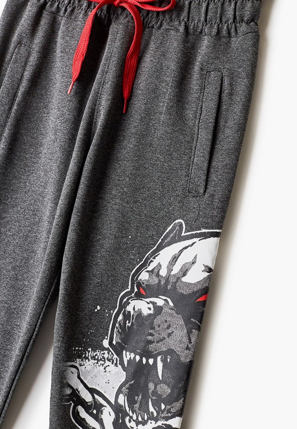 фото Брюки спортивные dali