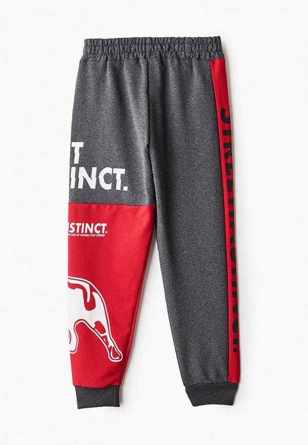 фото Брюки спортивные dali