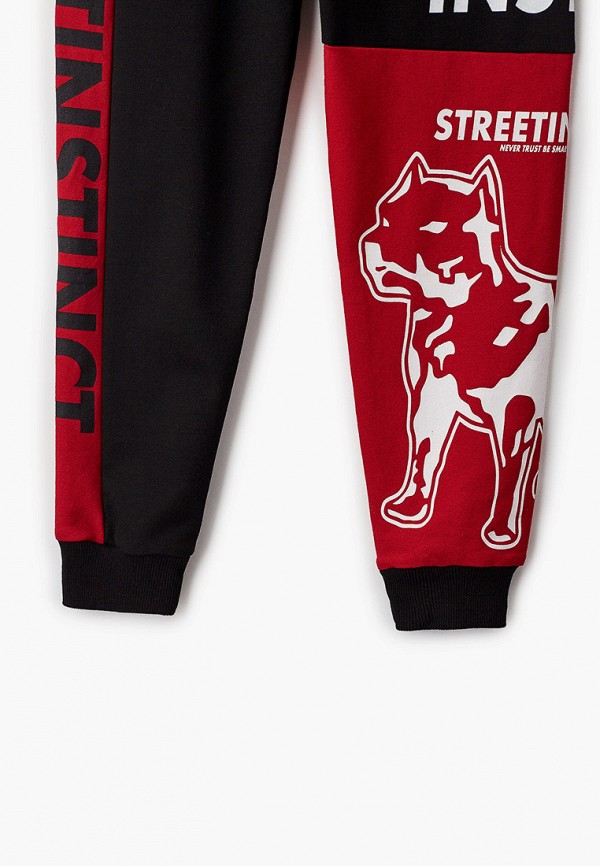 фото Брюки спортивные dali