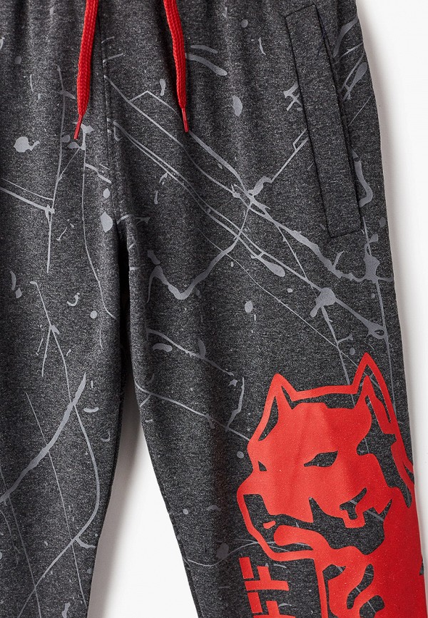 фото Брюки спортивные dali