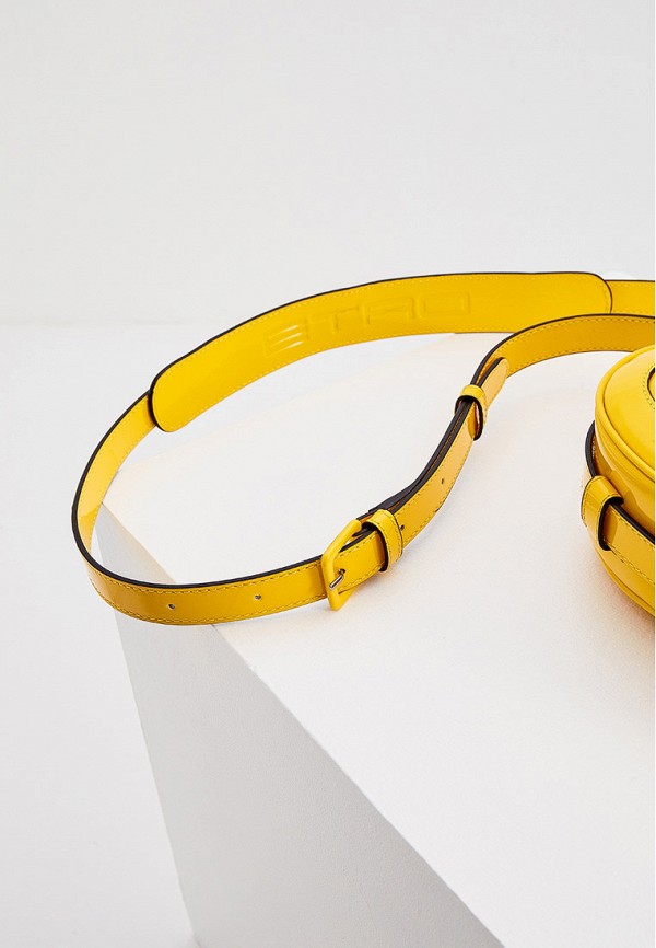 фото Сумка etro