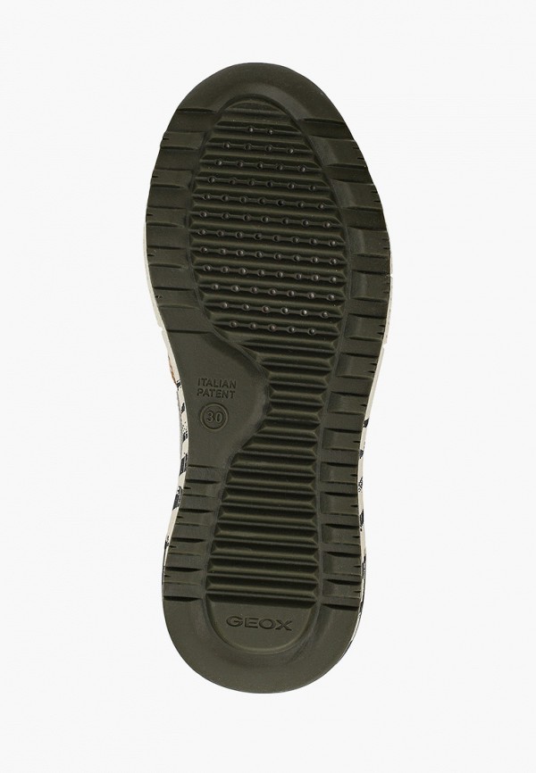 

Кроссовки Geox, Мультиколор, Geox GE347ABIEDJ0