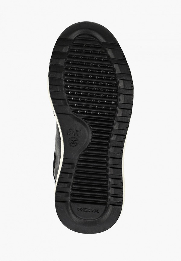 фото Кроссовки geox