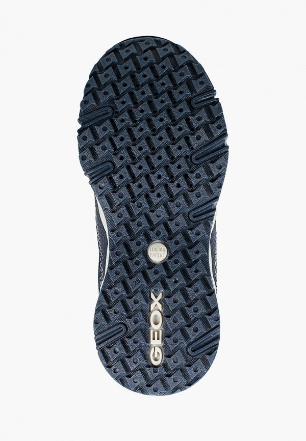 фото Кроссовки geox