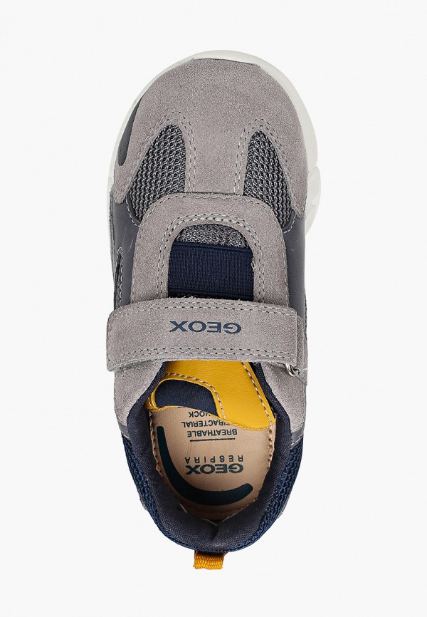 фото Кроссовки geox