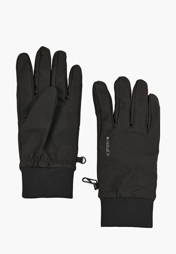 

Перчатки Icepeak, Черный, Icepeak IC647DMKNBZ8
