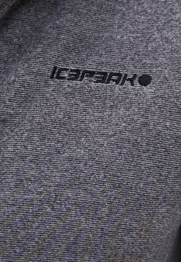 

Олимпийка Icepeak, Серый