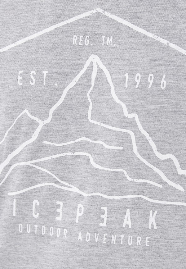 фото Футболка icepeak