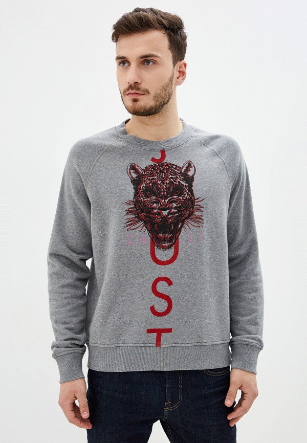 

Свитшот Just Cavalli, Серый, Just Cavalli JU662EMHIZU7