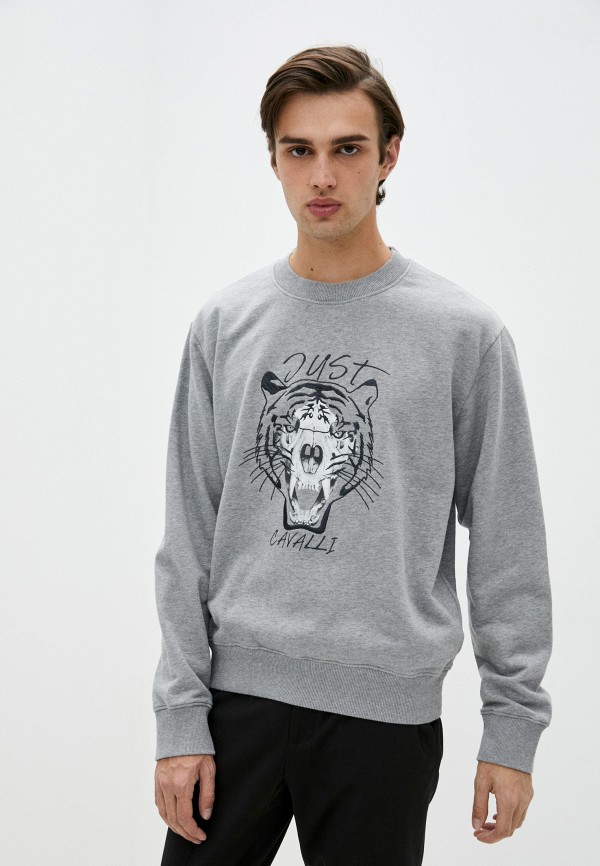

Свитшот Just Cavalli, Серый