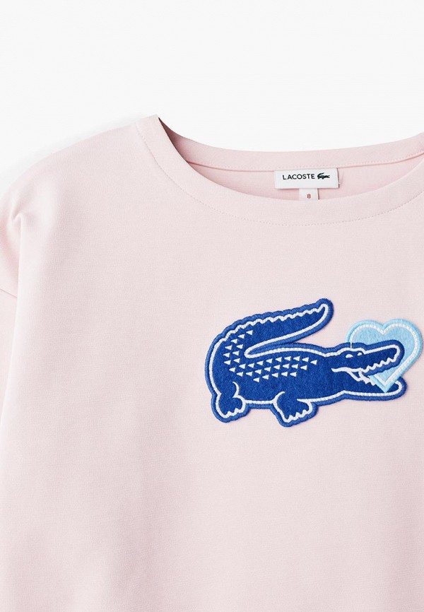 фото Свитшот Lacoste