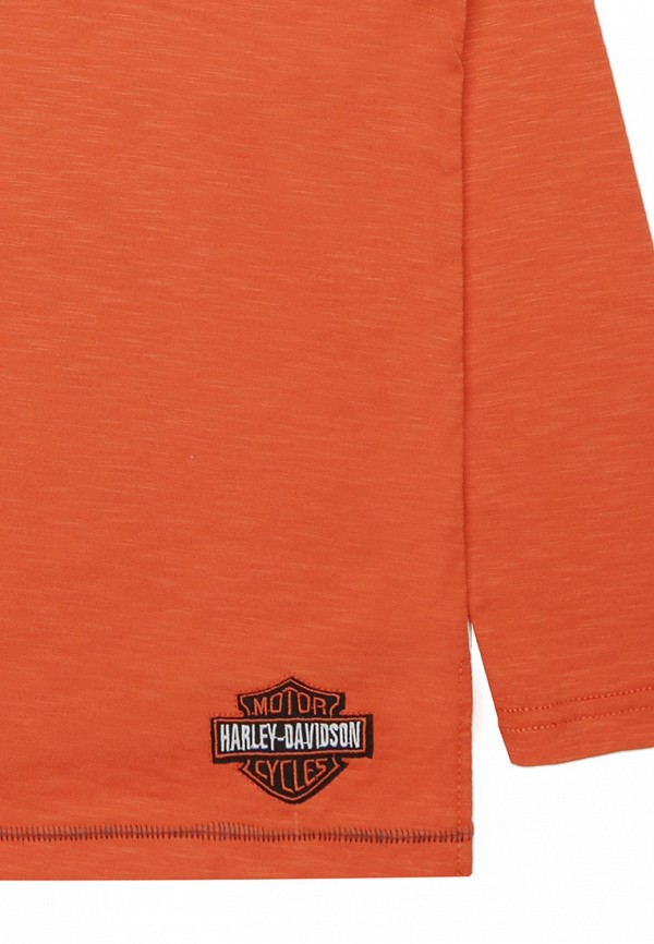 фото Лонгслив bell bimbo