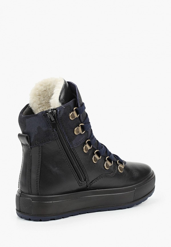 фото Кеды ralf ringer