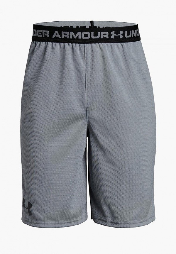 

Шорты спортивные Under Armour, Серый, Under Armour MP002XB00HH3