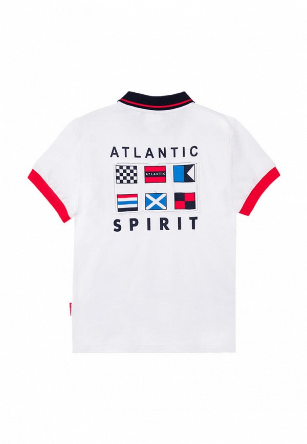 фото Поло playtoday